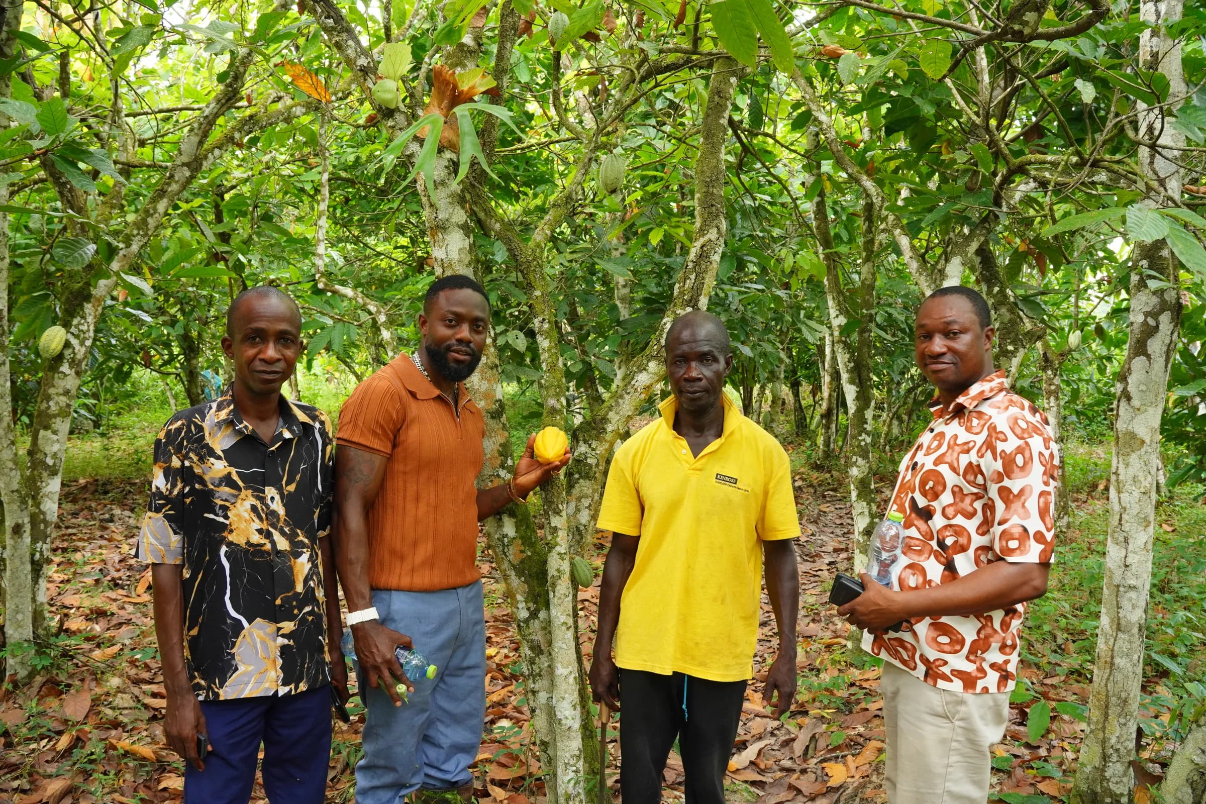Four farmers standing among mature cocoa trees, one holding a ripe pod