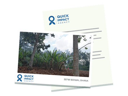 A postcard showing agroforestry at the project site, with the Quick Impact Agency lockup, lying on a letter on QIA letterhead.